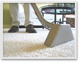 golden ears carpet care